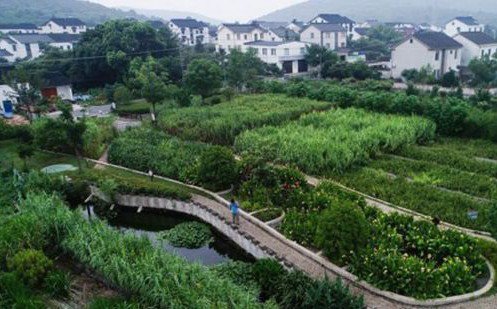 常見污水治理方法有哪些？